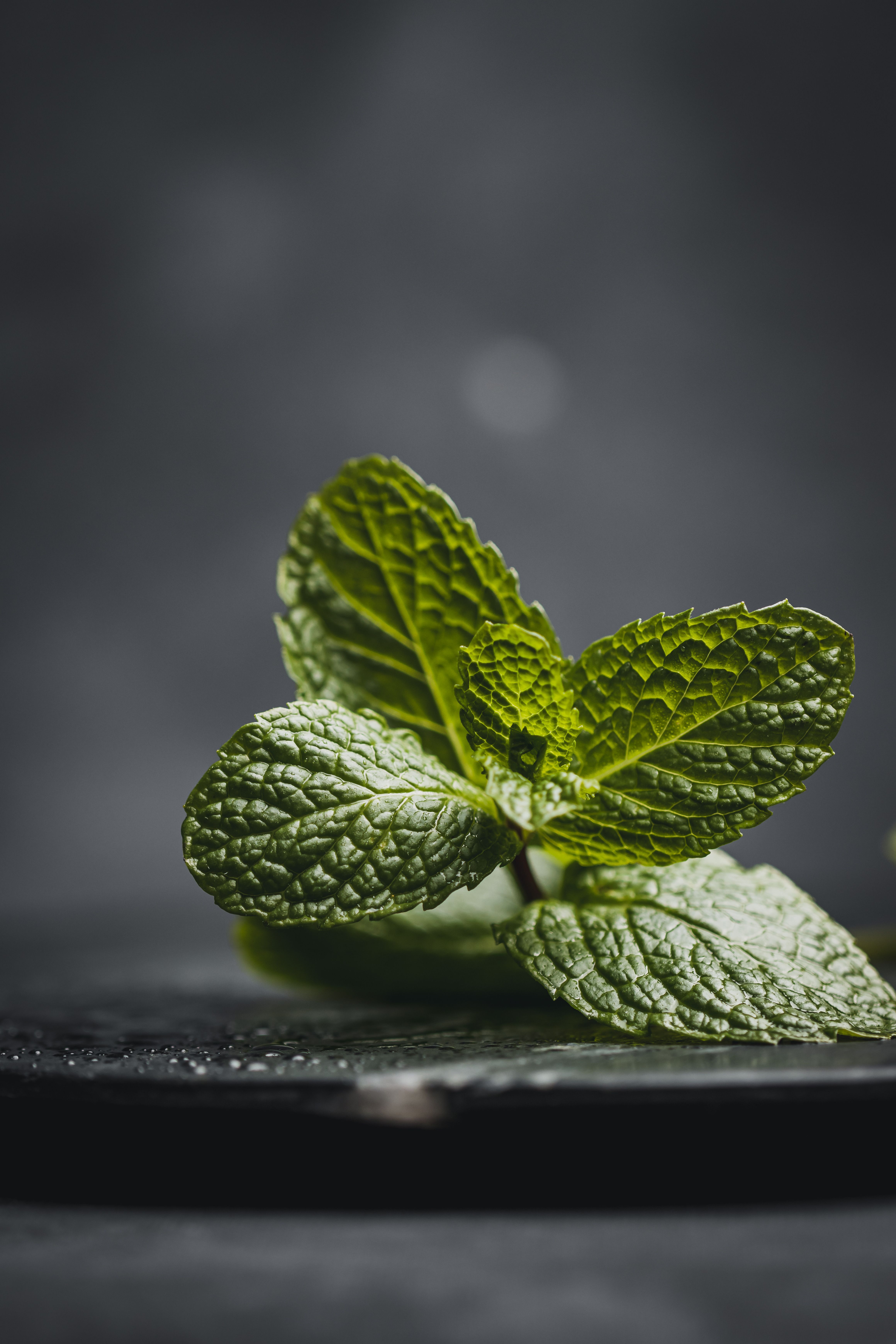 Fresh mint leaves